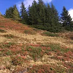 Holzknechthuette Chalé