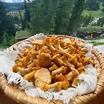 Holzknechthuette Chalé Lachtal