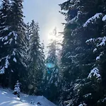 Chalé Holzknechthuette Lachtal