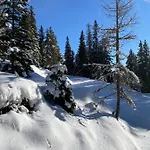 Holzknechthuette * Lachtal