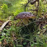 Holzknechthuette