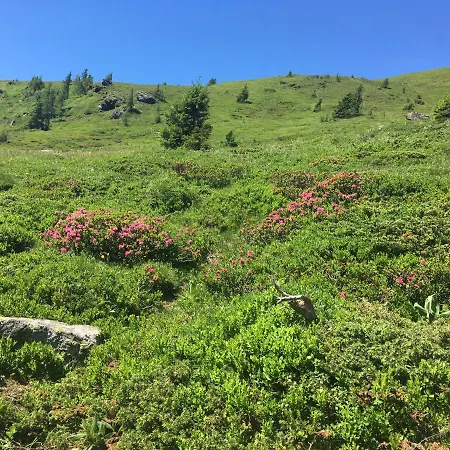 Alpehytte Holzknechthuette Lachtal