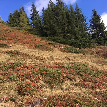Holzknechthuette Alpehytte