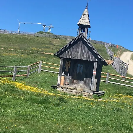 Domek alpejski Holzknechthuette Lachtal