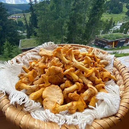 Holzknechthuette Alpehytte Lachtal