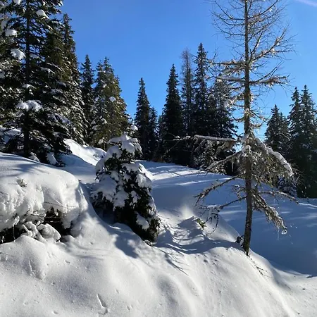 Holzknechthuette * Lachtal