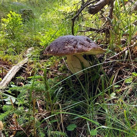 Holzknechthuette