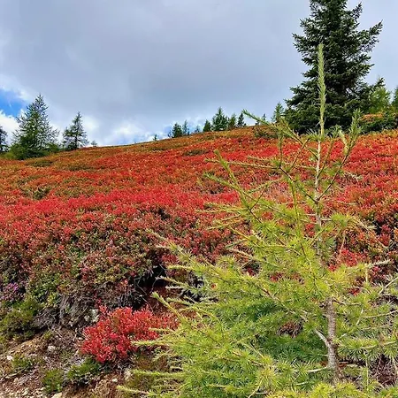 Holzknechthuette シャレー