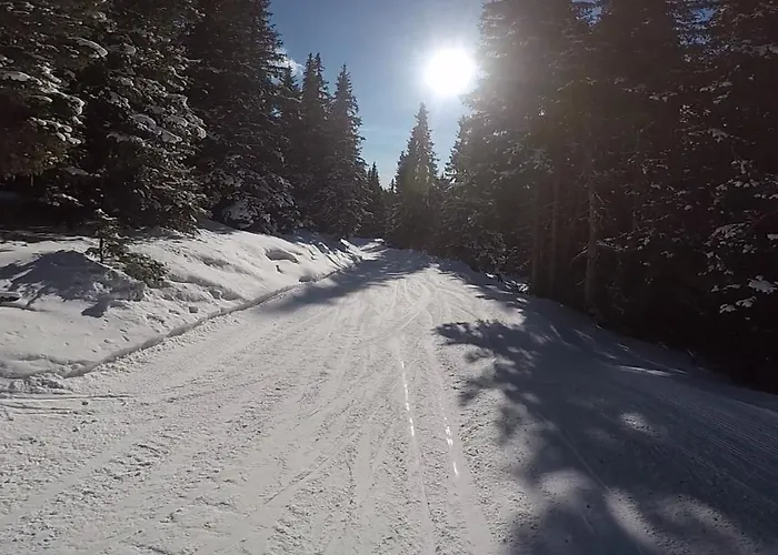 Domek alpejski Holzknechthuette
