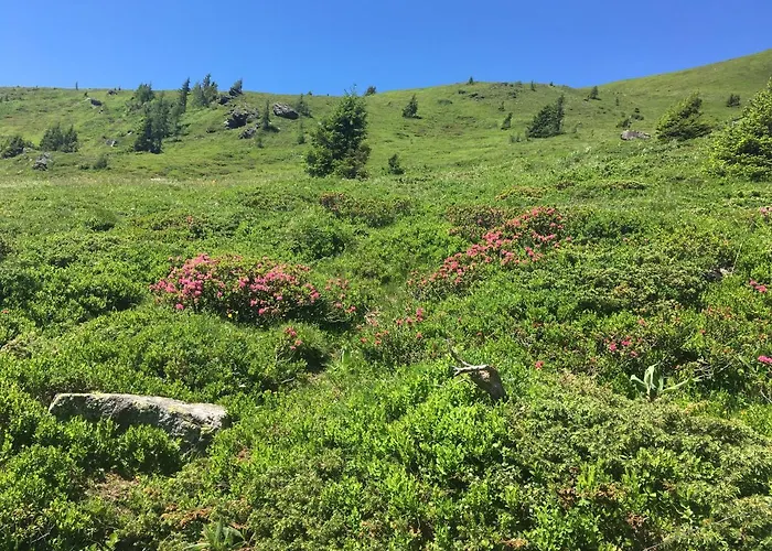 木屋 Holzknechthuette 拉赫陶