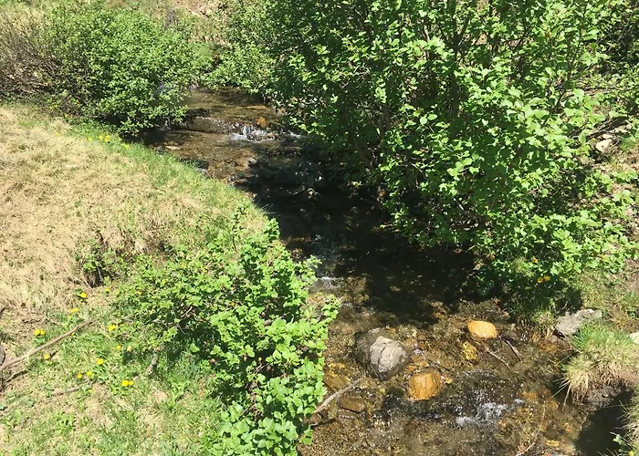 Domek alpejski Holzknechthuette *