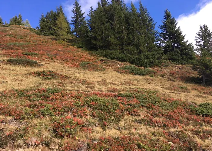 Holzknechthuette Domek alpejski