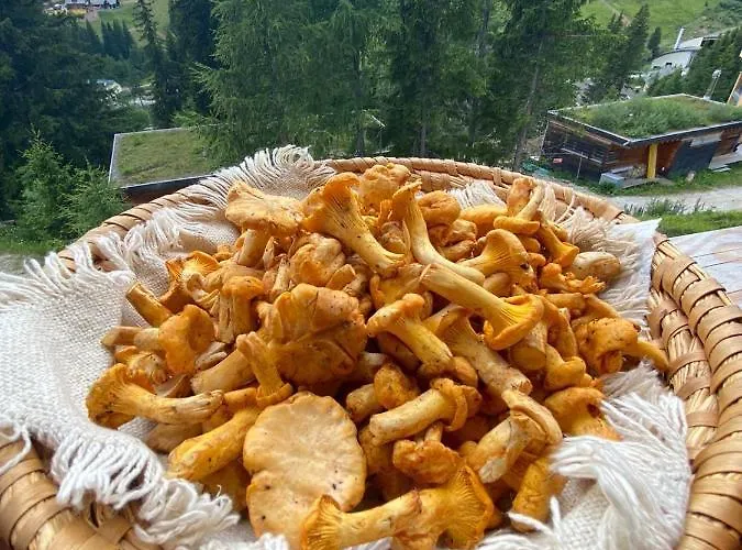 Holzknechthuette 木屋 拉赫陶