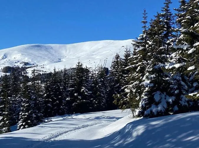 Holzknechthuette * 拉赫陶