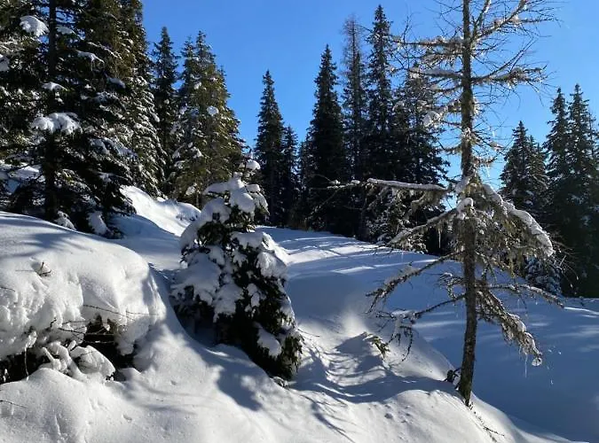 Holzknechthuette * Лахталь