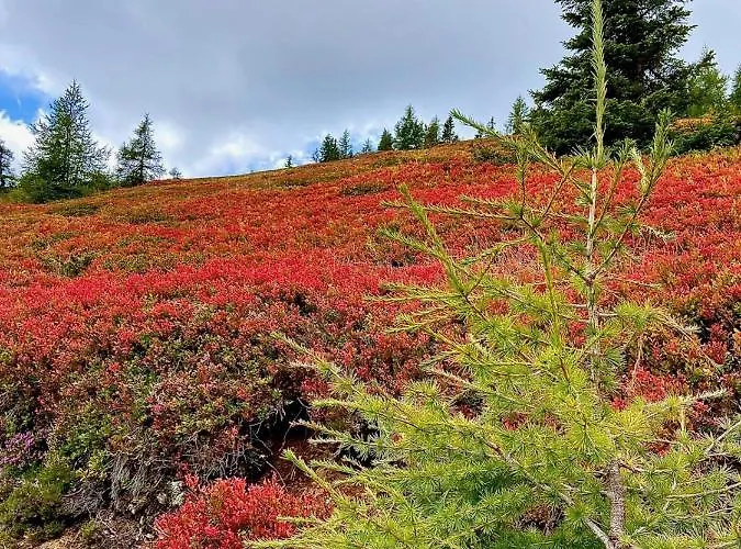 Holzknechthuette 木屋